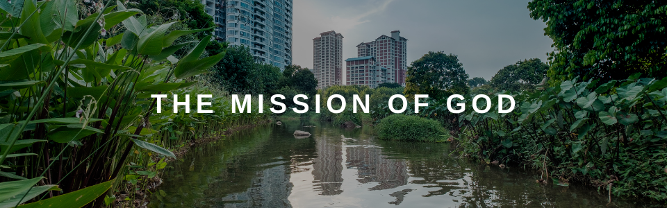 Formation Banner - Mission