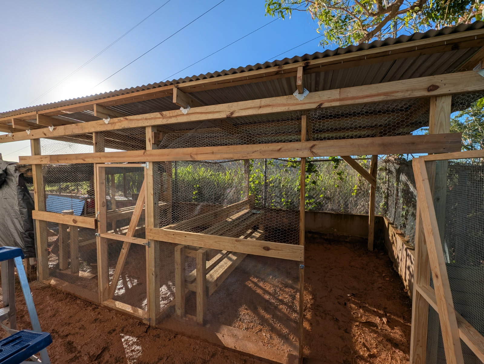 This is a view of the new coop from the outside looking in. This was all designed and built by our team members!
