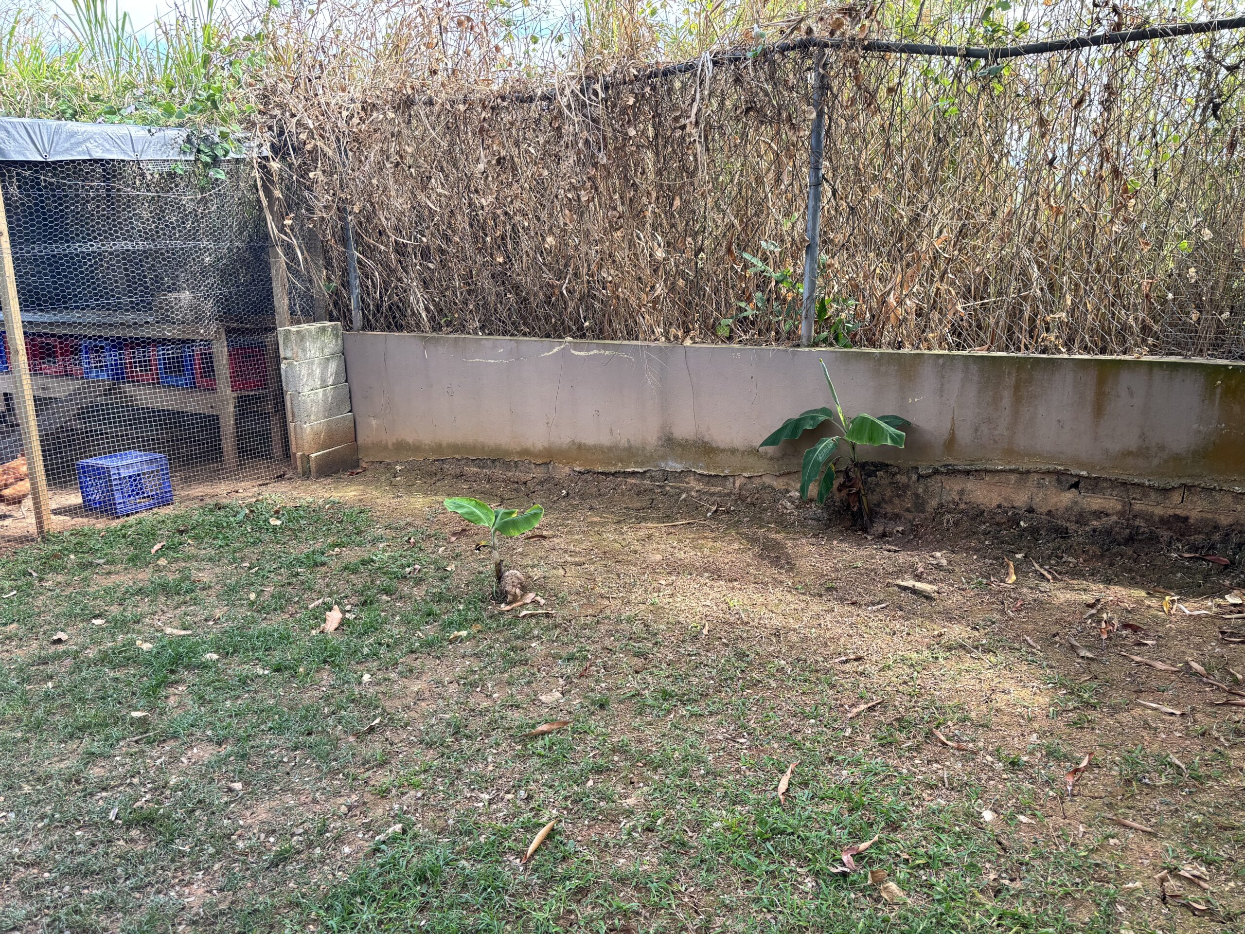 The "before" photo of the chicken coop expansion - it was a completely empty area that needed to be filled.