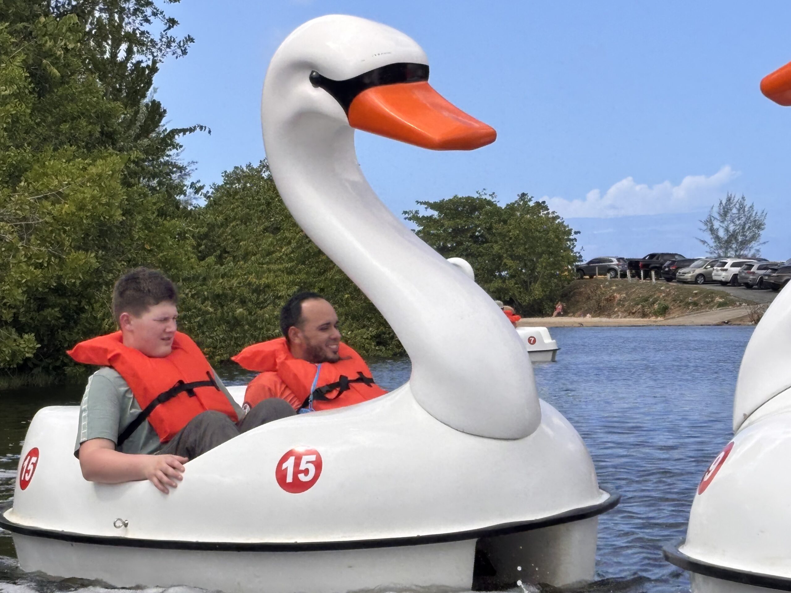 Jack James and Joseph felt it was more fun to try and bump the other swans than to simply enjoy a leisurely pedal around the lagoon.