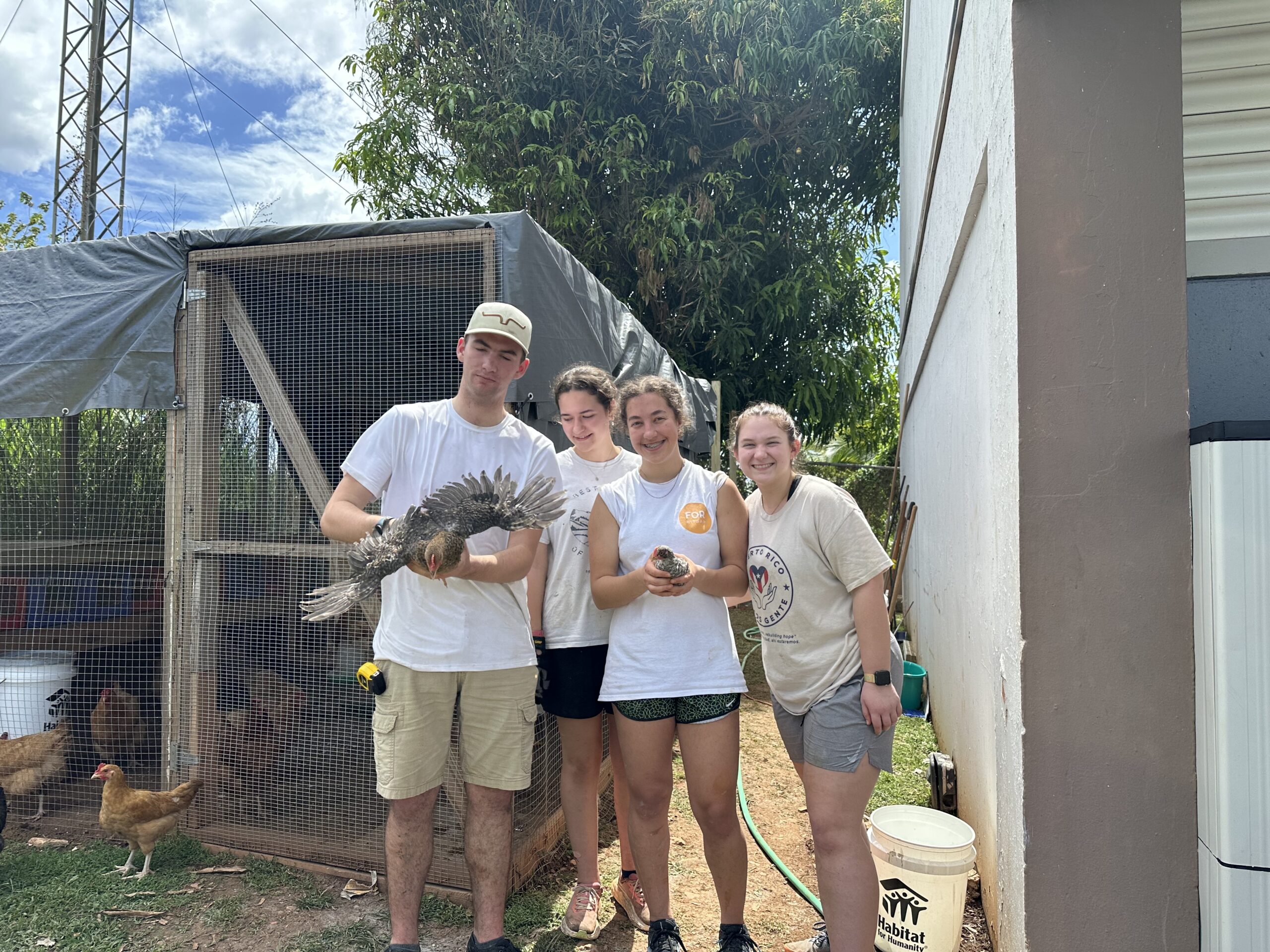 Project "Chicken Challenge" - this project team wanted to endear themselves to the chickens before they started coop construction.