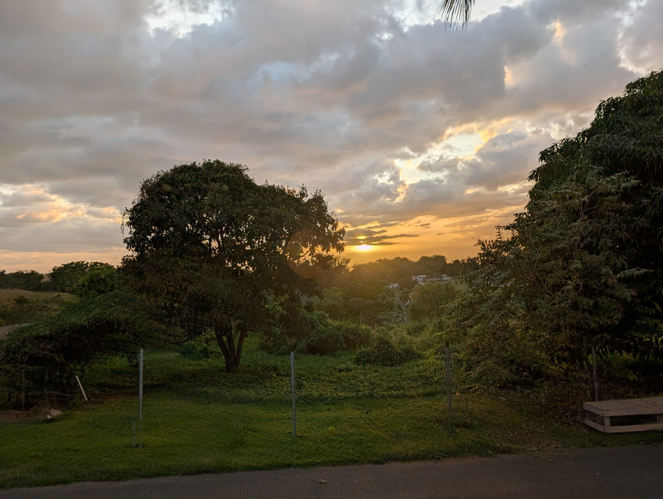 A beautiful sunset sky to end the day.